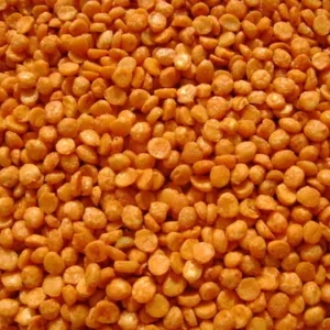 Chana Dal Namkeen (चना दाल नमकीन) 200g