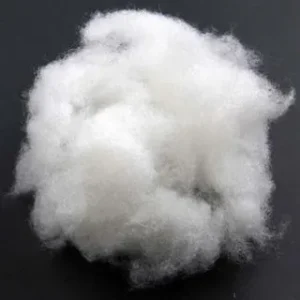 Cotton (रूई) (Copy)