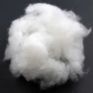 Cotton (रूई)
