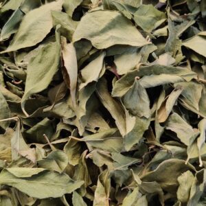 Kari Patta (करी पत्ता) 100g