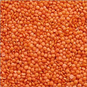 Masoor Dal 500g