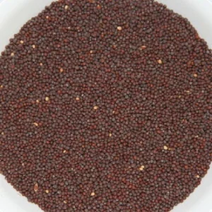 Rai (राई) 250g