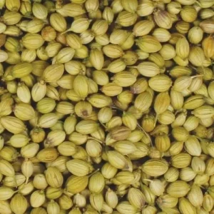 Sabut Dhaniya (साबुत धनिया) 1kg