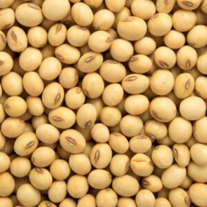 Soyabeal Dal 500g